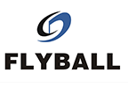  FLYBALL ELECTRONIC (SHENZHEN) CO., LTD
